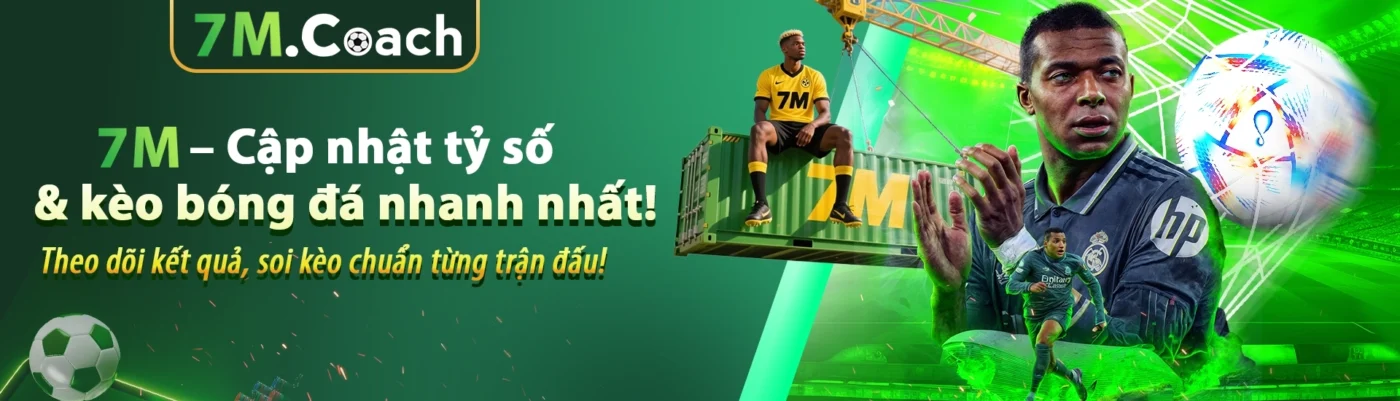 Banner andrassy.ws